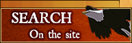 Search