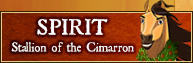 Spirit