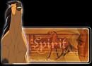 spirit signature