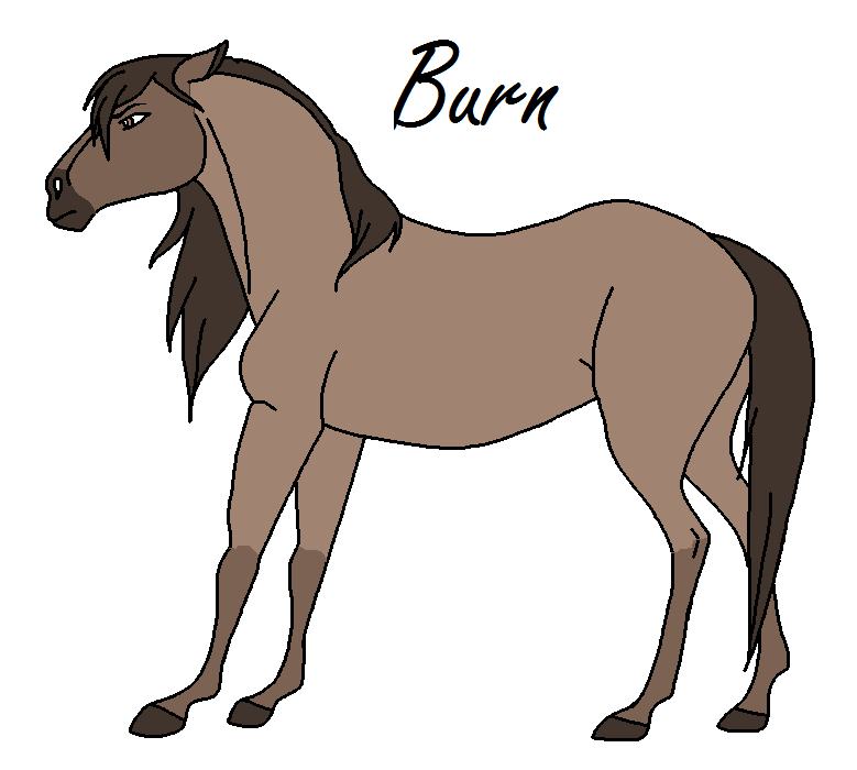 burn.png