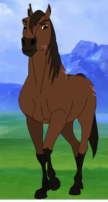 conibetter.png