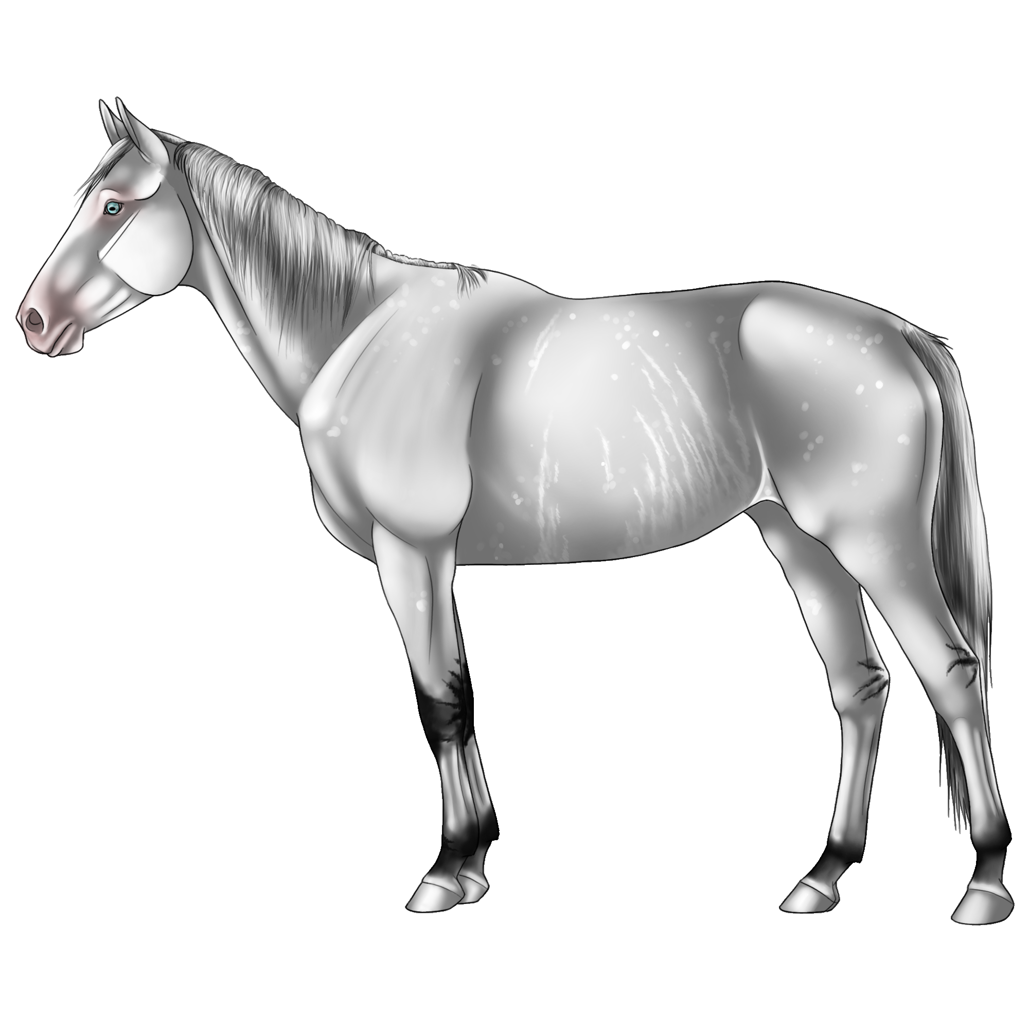 sanylde_herd_mare_.png