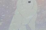 The White Wolf is NOT Aniu