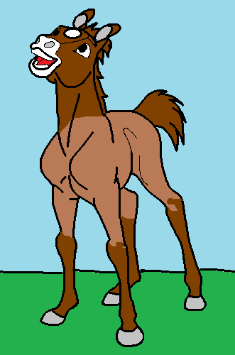 new_foal.png