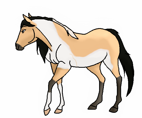 kk.png