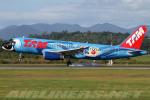 'Rio' takes flight - literally!