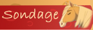 Sondage