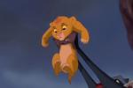 Simba VS. Kiara VS. Fluffy, an Analysis