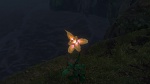Raiponce picture