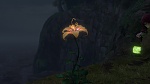 Raiponce picture