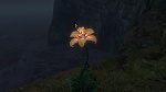 Raiponce picture