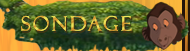 Sondage Sondage
