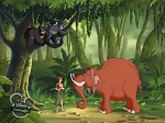Image La l�gende de Tarzan