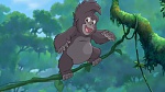 Image Tarzan 2 : L'Enfance d'un h�ros