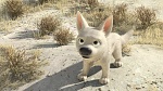 Image Volt Star Malgr� Lui