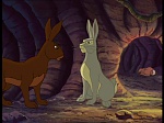 Watership Down : Prisoner of Efrafa