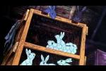 Watership Down Video Clips