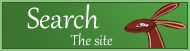 Search