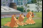 Those Darn Puppy Names - THE ORIGINAL ONES!