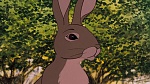 Watership Down