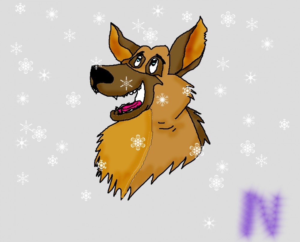 Charlie in snow! Charlie in snow!