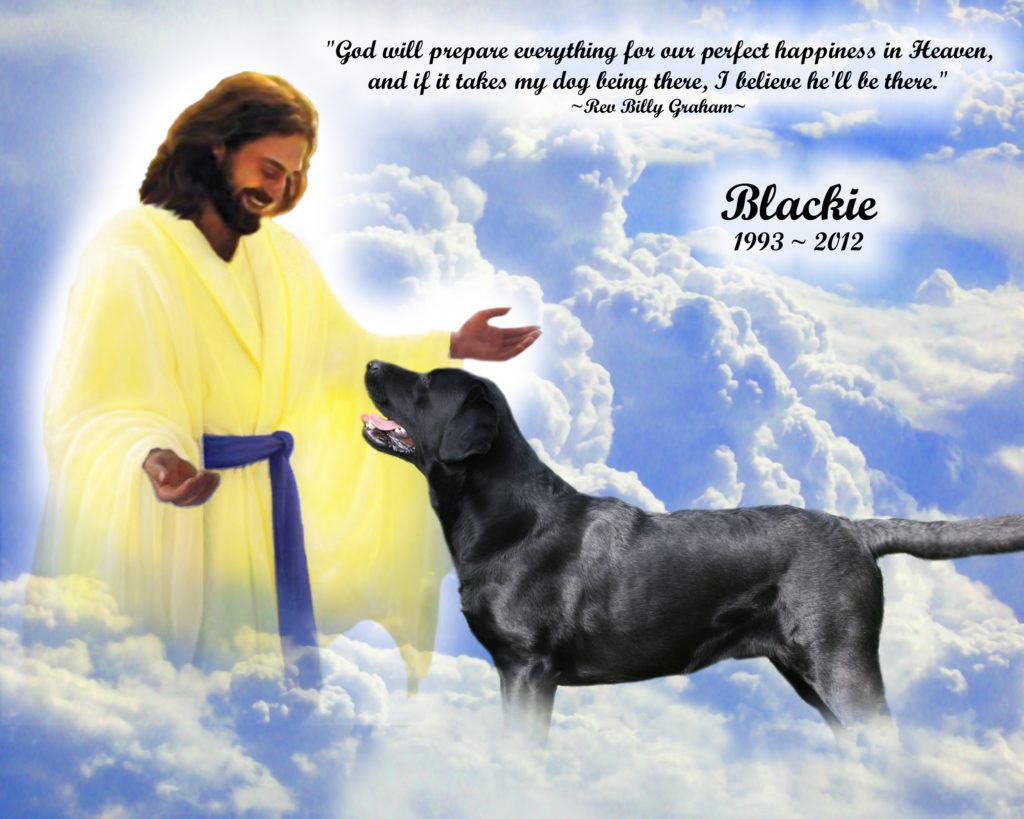 petmemoria.