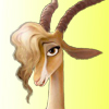Gazelle Gazelle