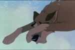 Impression of the Wolf