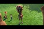 Galerie d'images de Zootopie 